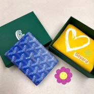 Goyard 고야드 지갑 추천 / 생마르크 생피에르 색상 고민이라면 드루와