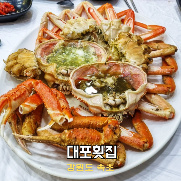 속초 대포항 맛집 추천 대게 홍게 대포횟집 애견동반식당 회센터 : 네이버 블로그
