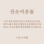 김해피부관리 스파, 누리봄의 산소이온돔