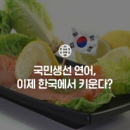 연어 1KG 시세가 이 정도?! 해결을 위해 국내 연어양식 시작한다?