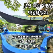 대전근교 금산 물놀이, 수영장 평상에 계곡, 대형 트램폴린, 그네놀이터가 있는 먹골유원지