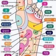 발건강이전신건강