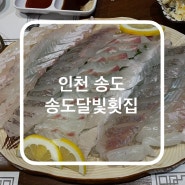 인천 송도달빛횟집 송도달빛축제공원역 연예인들 많이 가는 물회 맛집