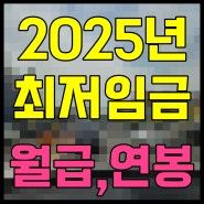 2025 최저시급 월급 연봉 계산기 없이 내가 알려줄게