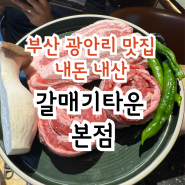 광안리맛집 재방문의사 있는 갈매기타운 본점 내돈내산