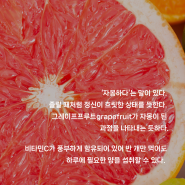 [마시는 이야기] 자몽 Grapefruit, 부르르 떨리는 신맛의 여운