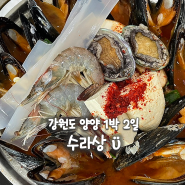 강원도 양양 1박 2일 여행, 양양 대표음식 섭국 섭전골 맛집 수라상 해녀횟집 통섭전골 후기 (내돈내산)