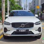 볼보 XC60 실물은 이런모습 가족을 위한 썬팅 알아보자