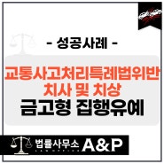 과속과 신호위반 교통사고로 피해자 사망, 금고형 집행유예 방어 성공사례[인천변호사]