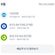 CONY, NVDY 8월 배당락 배당금 월 100만원 만들기 프로젝트