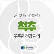 우리 몸의 기둥인 척추, 꾸준한 건강 관리가 필요한 까닭은