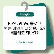 다음 티스토리 Vs. 네이버 블로그 어떤게 상위노출이 더 잘되나요?