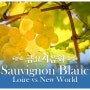 금요시음회 Sauvignon Blanc