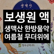 보생원(생맥산) - 더위먹었을 때 먹는 원기회복 기와 진액 보충 피로회복제 _아산 광은약국