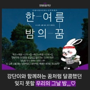 [뉴스레터 Vol.62] 강단이와 함께하는 꿈처럼 달콤했던 잊지 못할 우리의 그날 밤,,,♡