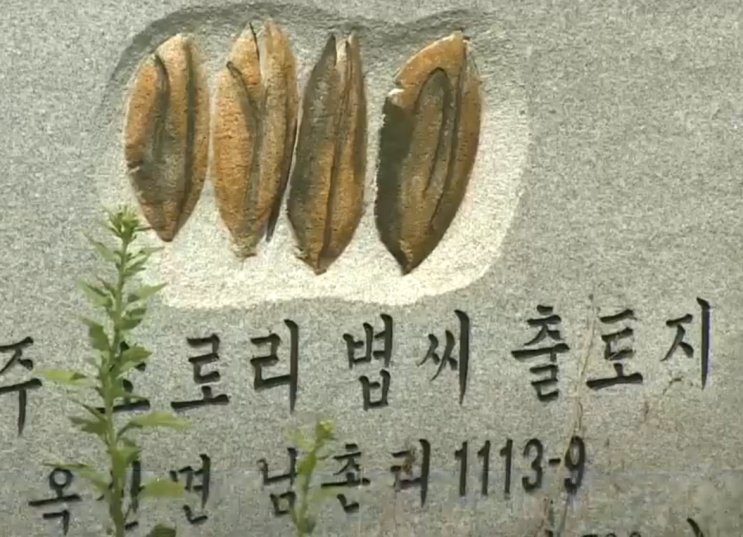 청주 소로리 볍씨 세계에서 가장 오래된 볍씨의 비밀 : 네이버 블로그