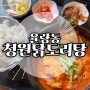 [청주_율량동]순살닭도리탕맛집 :: 청원닭도리탕