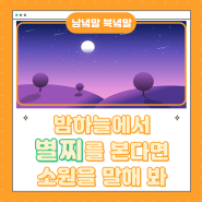 밤하늘에서 '별찌'를 보면 소원을 말해 봐!♪♬ #별똥별