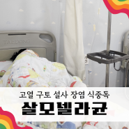 살모넬라균 장염으로 입원 치료 자세한 증상 여행중에 아플 땐