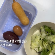 ◎서서히 빠지는 다이어트 식단 or 건강 식단(일주일 식단)- 6