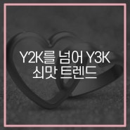 Y3K? 쇠일러문? 쇠맛 트렌드에 어울리는 실버 아이템