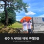 공주 역사탐방 아이와 가볼만한곳 백제 무령왕릉 돌방무덤