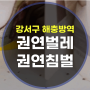 강서구 해충방역 당근마켓에서 권연벌레 권연침벌 퇴치