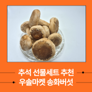 추석 선물세트 추천 보담송이 송화버섯 우솔마켓