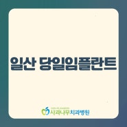 일산 당일임플란트 맞춤으로 더 오래