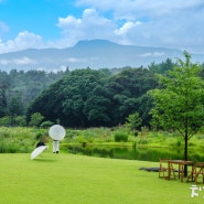 서귀포시 가볼만한곳 예쁜 숲속 제주 카페 추천 담소요