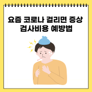 요즘 코로나 걸리면 증상 검사비용 예방법