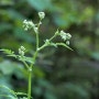 병원코디네이터 , 병원코디네이터 자격증 합격한 전략 궁금하다면