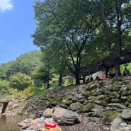 경기도 여주 주록계곡 가볼만한곳 '별천민박' 평상 대여료만 내고 여름휴가 ❣️ 내돈내산