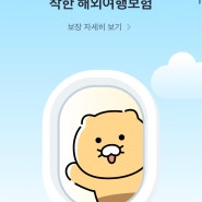 해외여행에 꼭 필요한것,카카오톡으로 쉽게 가입하는 카카오여행자보험