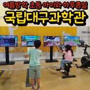 대구 아이와 가볼만한곳 국립대구과학관 : 특별전, 문화행사