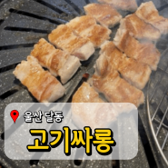 울산 삼산 고기집 고기싸롱 울산 달동점 무한리필 맛집