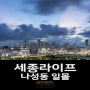 [세종라이프] 나성동 일몰