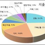 딩크부부 | 8월 10일치 가계부(부수입 66만)