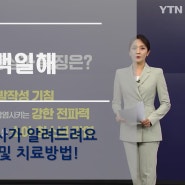 백일해 안양 백일해 평촌 백일해 판교 백일해 도대체 백일해가 뭐길래...