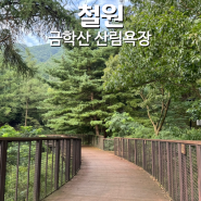 강원도 여름산 철원 금학산 산림욕장 전망대