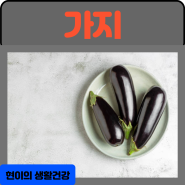 가지의 효능 부작용 : 가지 1개 칼로리