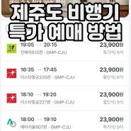 9월 제주도 비행기표 특가 싸게 예매했어요 내돈내산