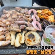 # 알콜트립 44 폭염에도 삼겹살은 못참지 분평동 맛집 "삼모캉"