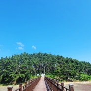 신안섬여행_거북섬, 사랑스러운 무인도