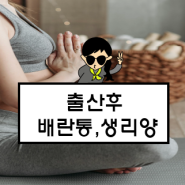 출산후 배란통, 배란통 증상과 완화법 및 출산후 생리양, 생리주기, 생리불순