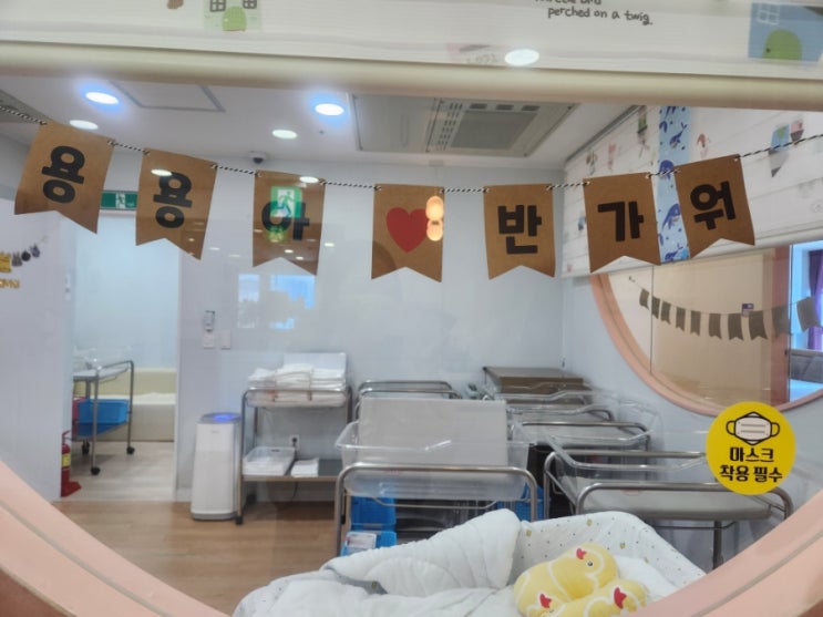 신생아실,아기침대,유리창,신생아케어