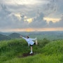 한여름의 제주(취다선다도,새별오름,제주현대미술관)