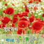 울산 가볼만한 곳, 태화강 '태화강의 기억'