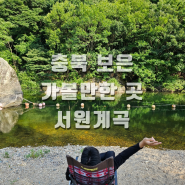 서울 경기도 근교 충청도 계곡 가볼만한곳 보은 서원계곡 깊은 계곡 포인트 주차 노지캠핑 텐트 취사 가능!!