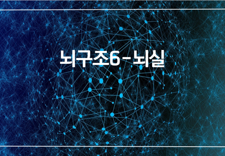 [코코약사] 뇌구조6-뇌실(가쪽뇌실,lateral ventricle, 셋째뇌실, 넷째뇌실,몬로공, 중뇌수도관,루시카공,마겐디공 ...